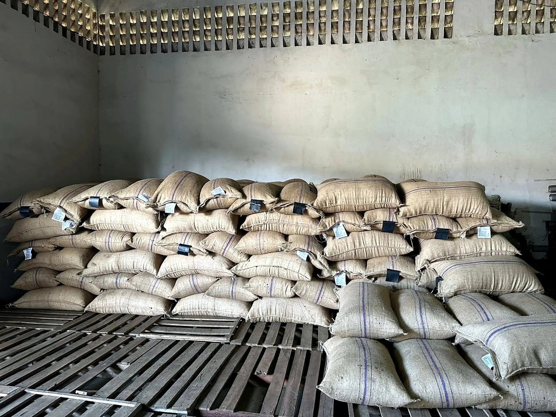 BMS export sacks stored on pallets inside the warehouse
